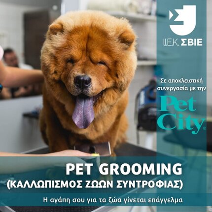 Pet Grooming – Καλλωπισμός Ζώων Συντροφιάς banner